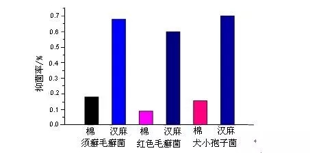 640.webp (7).jpg